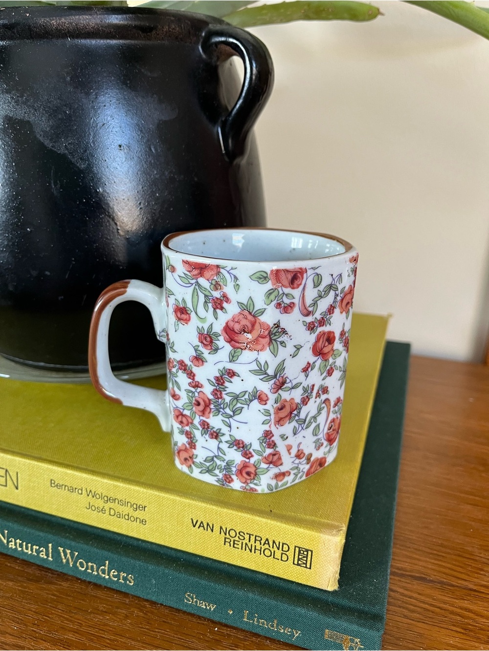 Floral Red Rose Ceramic Mug with Brown Trim